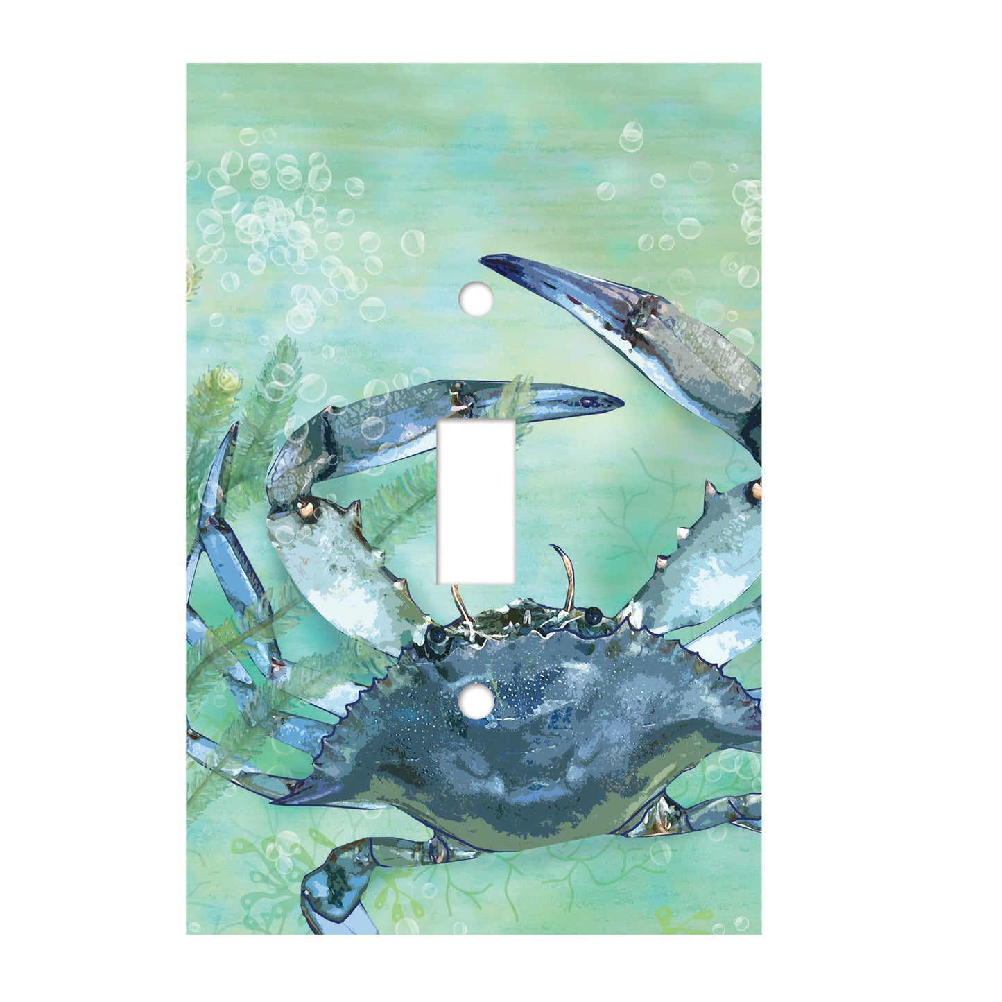 ceramic double toggle switch plate featuring a blue grab and green and blue watercolor background