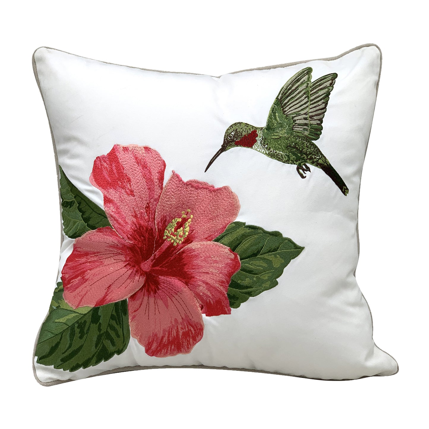 A red throated hummingbird hovering above a pink hibiscus flower on a white background.
