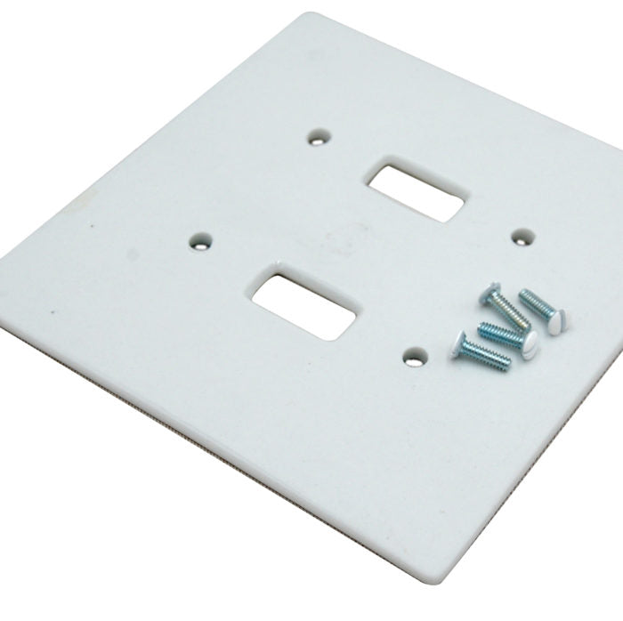  Plain double toggle switch plate with 4 white headed screws.