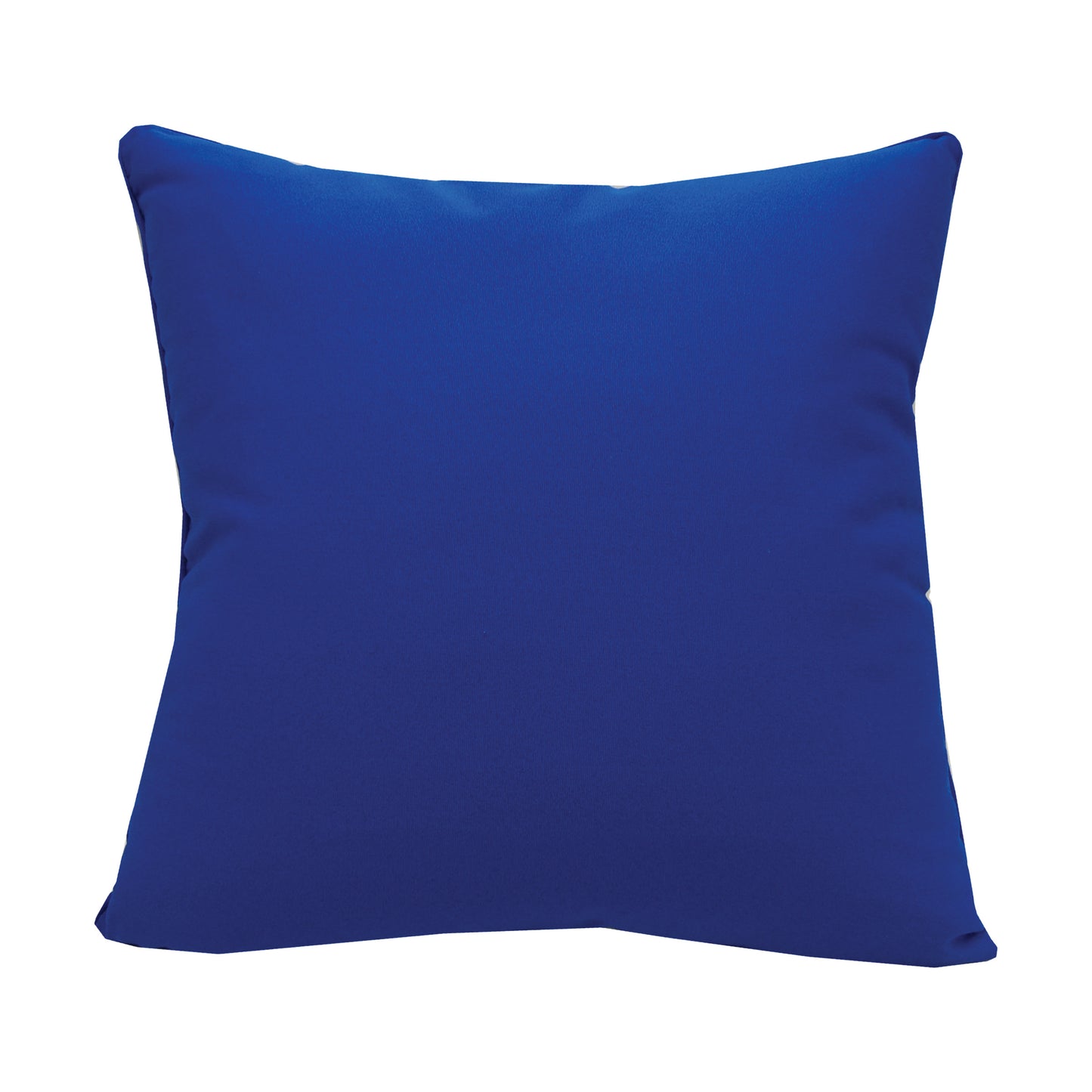 Blue Sea Urchin Embroidered Pillow Back