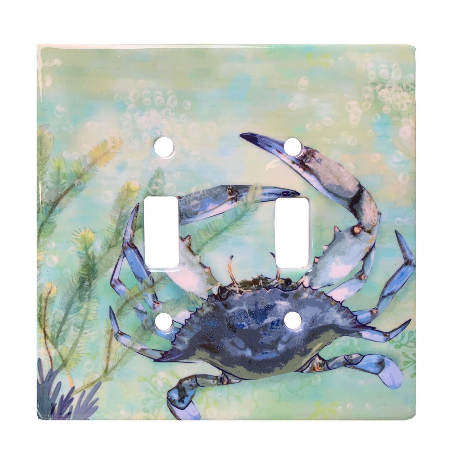 ceramic double toggle switch plate featuring a blue grab and green and blue watercolor background.