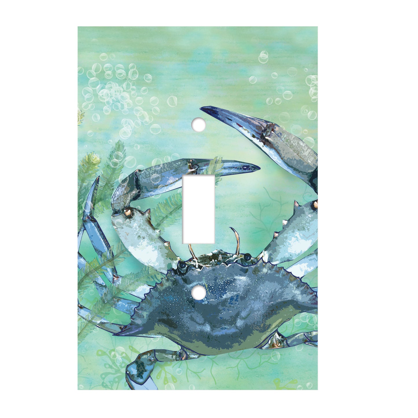 ceramic double toggle switch plate featuring a blue grab and green and blue watercolor background