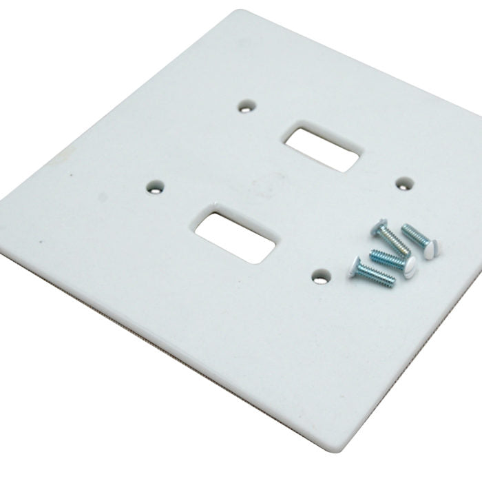 Plain double toggle switch plate with 4 white headed screws.