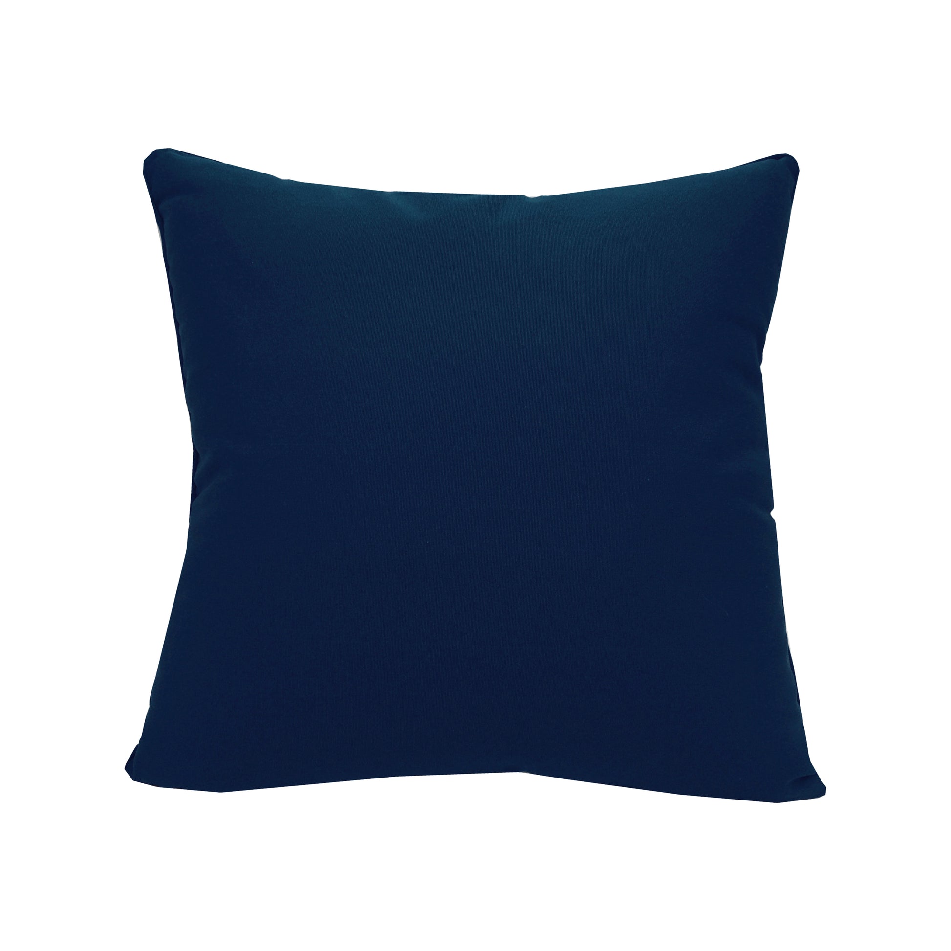 Back of the World Is Your Oyster Indoor Outdoor pillow